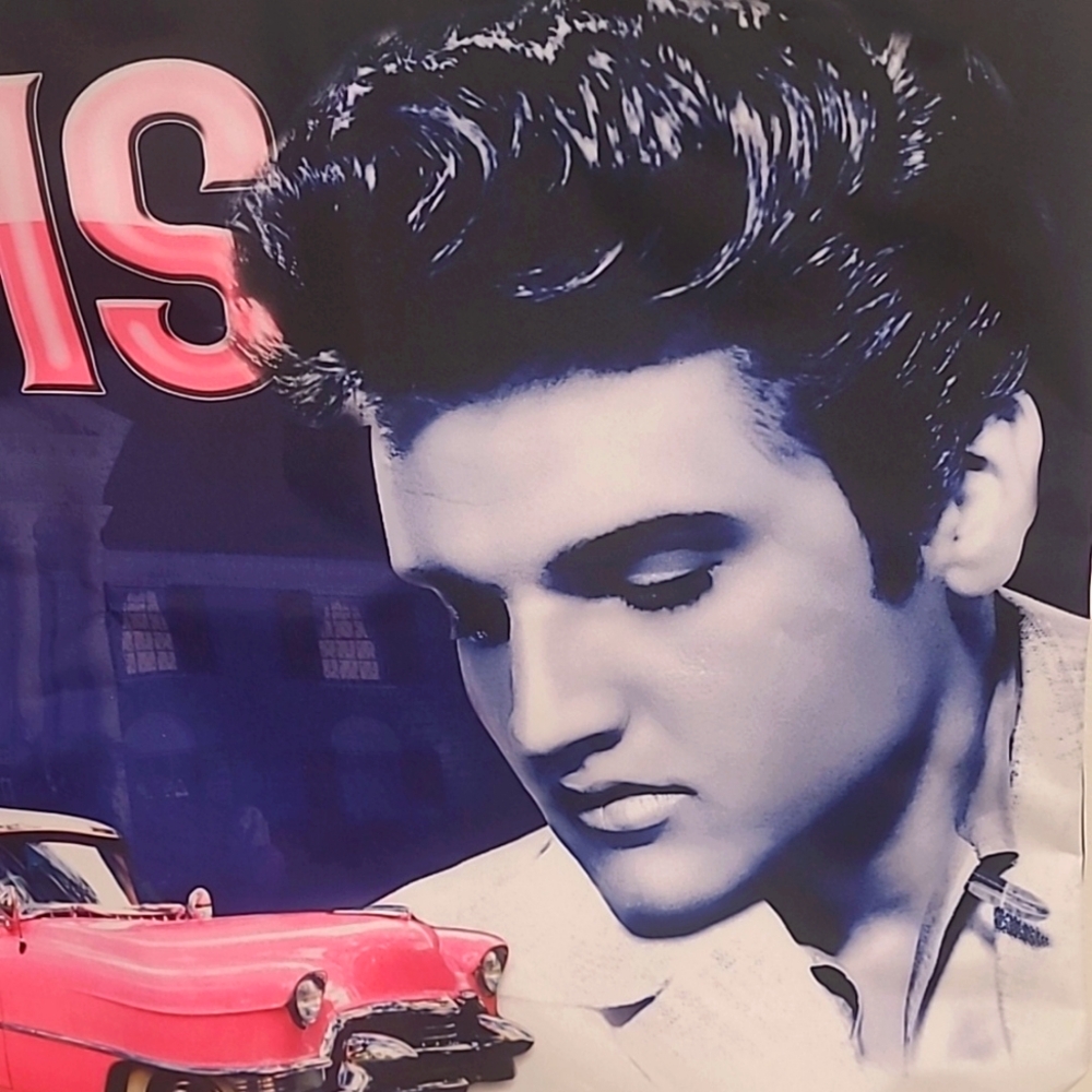 NWT super fun Elvis vinyl tote. - Picture 3 of 9